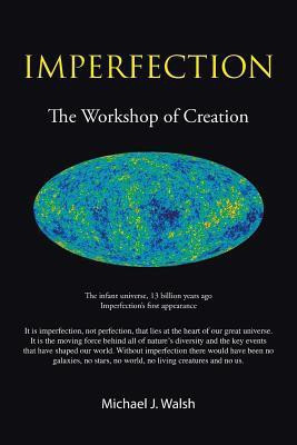 Imperfection(English, Paperback, Walsh B E Ph D Michael J)