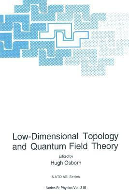 Low-Dimensional Topology and Quantum Field Theory(English, Paperback, unknown)