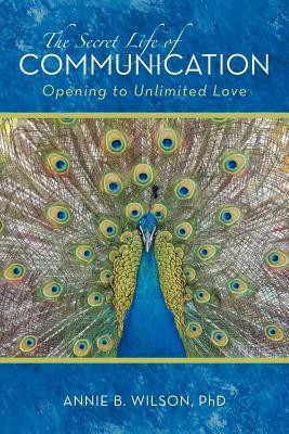 The Secret Life of Communication(English, Paperback, Wilson Annie B PhD)