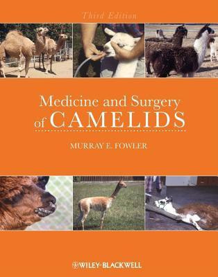 Medicine and Surgery of Camelids 3rd  Edition(English, Hardcover, Fowler Murray E.)