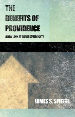 The Benefits of Providence(English, Paperback, Spiegel James S.)