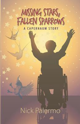 Missing Stars, Fallen Sparrows(English, Paperback, Palermo Nick)