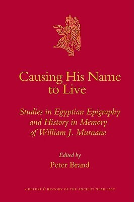 The Clash of Globalisations(English, Hardcover, Kiely Ray)