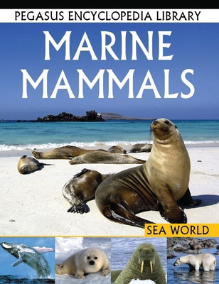 Wisdom Tree 5 - Value Education for Young Minds(English, Paperback, unknown)