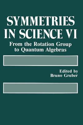 Symmetries in Science VI(English, Paperback, unknown)