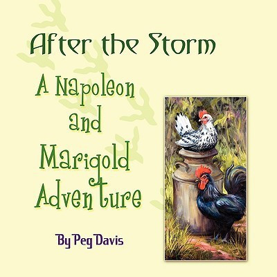 After the Storm(English, Paperback, Davis Peg)