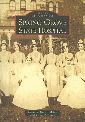 Spring Grove State Hospital(English, Paperback, Helsel David S., M.d.)