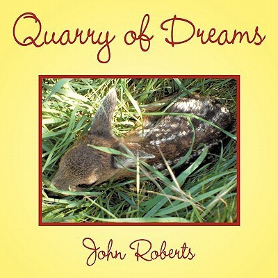Quarry of Dreams(English, Paperback, Roberts John)