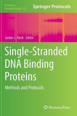 Single-Stranded DNA Binding Proteins 2012 Edition(English, Hardcover, unknown)