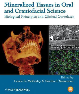 Mineralized Tissues in Oral and Craniofacial Science(English, Hardcover, unknown)