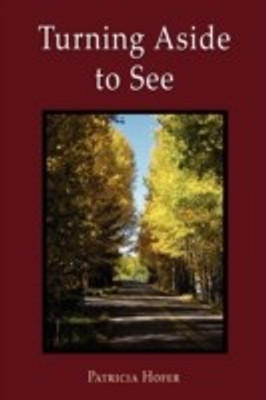 Turning Aside to See(English, Paperback, Hofer Patricia)