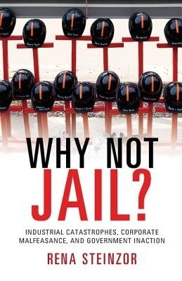 Why Not Jail?(English, Hardcover, Steinzor Rena)