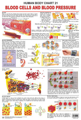 The Blood Group, Cells & Pressure(English, Paperback, unknown)