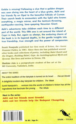 Aditi and Her Friends Take on the Vesuvian Giant(English, Paperback, Namjhoshi Suniti)