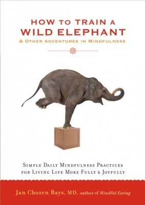 How to Train a Wild Elephant : And Other Adventures in Mindfulness(English, Paperback, Jan Chozen Bays)