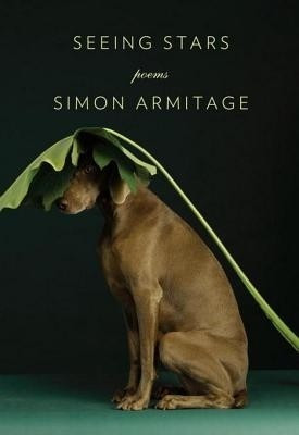 Seeing Stars(English, Electronic book text, Armitage Simon)