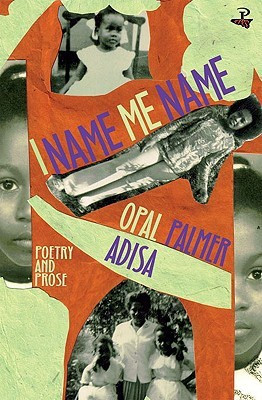 I Name Me Name(English, Paperback, Palmer Adisa Opal)