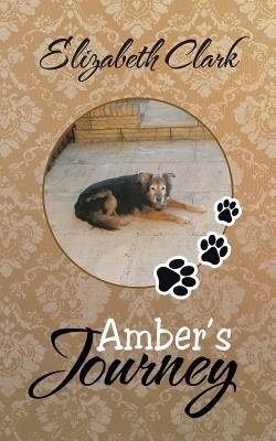 Amber's Journey(English, Paperback, Clark Elizabeth)