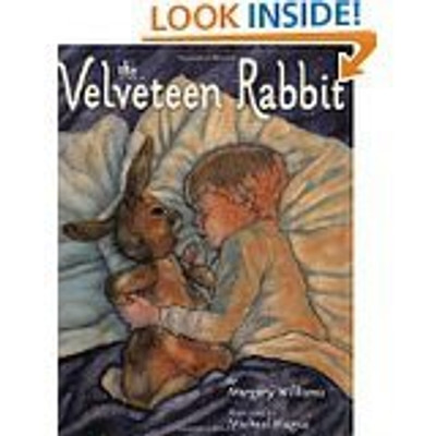 Velveteen Rabbit, The(English, Paperback, Margery Williams, Illustrated by Michael Hague) Flipkart