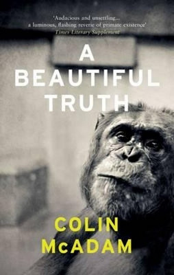 A Beautiful Truth(English, Paperback, McAdam Colin)