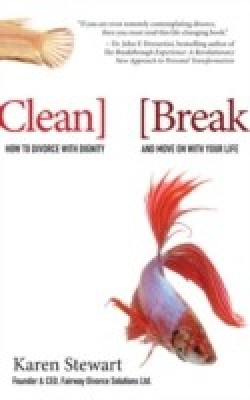 Clean Break(English, Paperback, Stewart Karen)