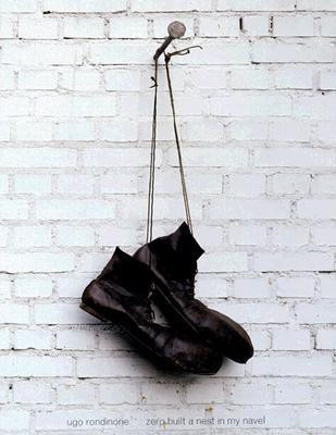 Ugo Rondinone: Zero Built a Nest in My Navel(English, Hardcover, unknown)