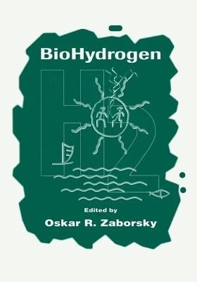 BioHydrogen(English, Paperback, unknown)