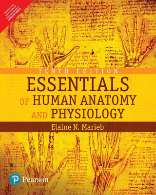 Essentials of Human Anatomy and Physiology 10 Edition(English, Paperback, Elaine N. Marieb)