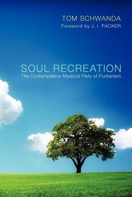 Soul Recreation(English, Paperback, Schwanda Tom)