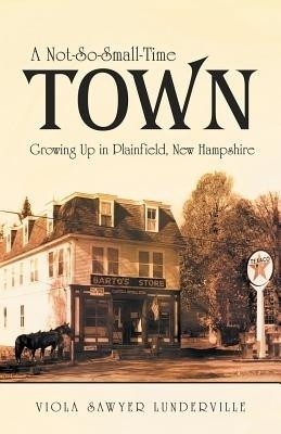 A Not-So-Small-Time Town(English, Paperback, Lunderville Viola Sawyer)