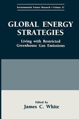 Global Energy Strategies(English, Paperback, unknown)