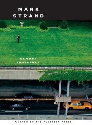 Almost Invisible(English, Electronic book text, Strand Mark)