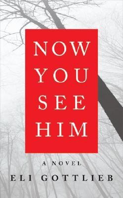 Now You See Him(English, Hardcover, Gottlieb Eli)