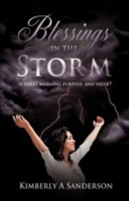 Blessings in the Storm(English, Paperback, Sanderson Kimberly A)