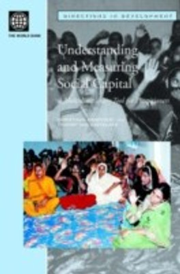 Understanding and Measuring Social Capital(English, Paperback, unknown)