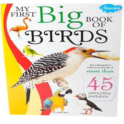 My First Big Book Of Birds(English, Paperback, Manoj Publication)