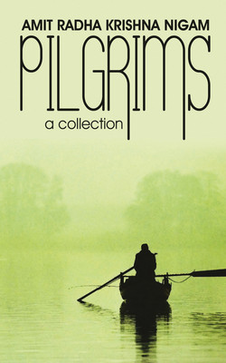 Pilgrims(English, Paperback, Amit Radha Krishna Nigam)