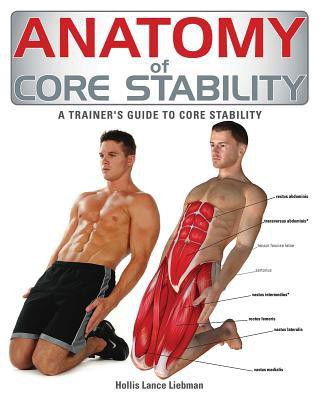 Anatomy of Core Stability(English, Paperback, Liebman Hollis Lance)