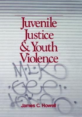 Juvenile Justice and Youth Violence illustrated edition Edition(English, Hardcover, Howell James C.)