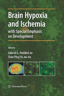 Brain Hypoxia and Ischemia 2009 Edition(English, Hardcover, unknown)