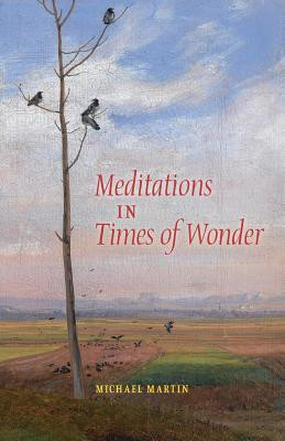 Meditations in Times of Wonder(English, Paperback, Martin Michael)