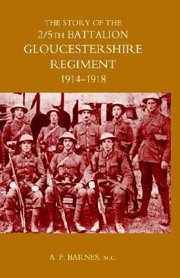 Story of the 2/5th Battalion the Gloucestershire Regiment 1914-1918 2003(English, Hardcover, unknown)