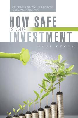 How Safe Is Our Investment(English, Paperback, Okoye Paul)
