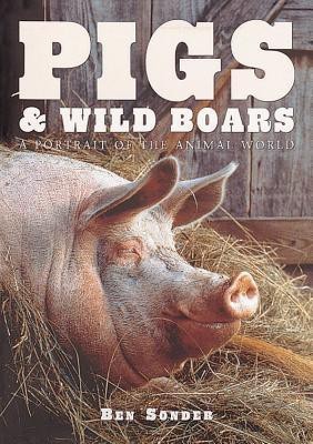 Pigs and Wild Boars(English, Hardcover, Sterry Paul)