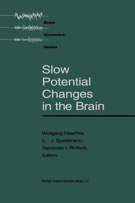 Slow Potential Changes in the Brain(English, Paperback, Haschke)