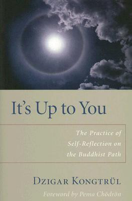 It's Up to You(English, Paperback, Kongtrul Dzigar)