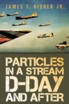 Particles in a Stream D-Day and After(English, Paperback, Risher James F Jr)