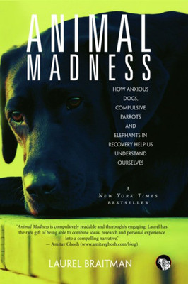 Animal Madness How Anxious Dogs Compulsive Parrots(English, Paperback, unknown)