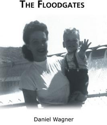 The Floodgates(English, Paperback, Wagner Daniel)