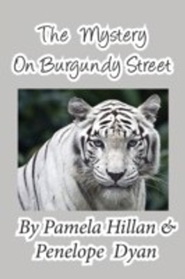 The Mystery on Burgundy Street(English, Paperback, Hillan Pamela)